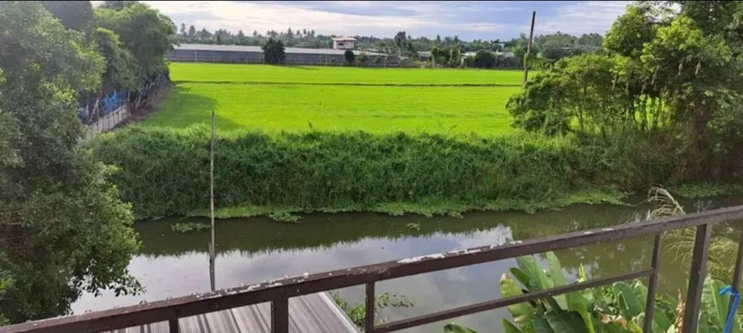 ขายบ้านเดี่ยวพื้นที่ 2 งาน 34 ตร.ว. 7,920,000 บาท ราคาคุ้มสุดๆ ต.ลานตากฟ้า อ.นครชัยศรี จ.นครปฐม เจ้าของบ้านขายเอง  5