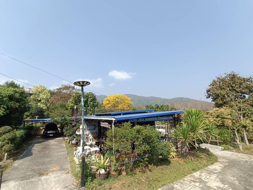 บ้านชั้นเดียวในพื้นที่1ไร่ 10