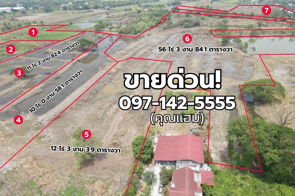 ขายที่ดินเปล่า สามโคก  ปทุมธานี  จำนวนหลายแปลง 2