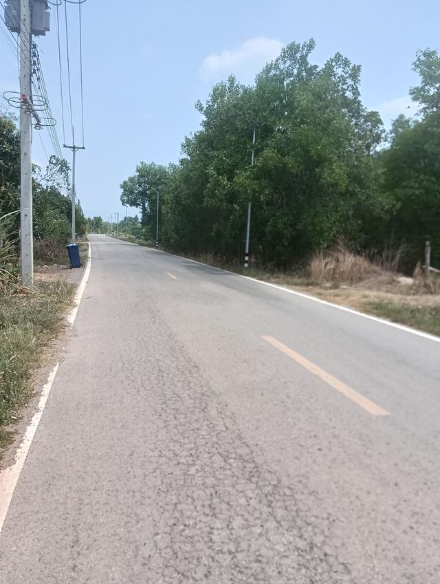 ที่ดิน แปลงสวย เจ้าของขายเอง 4
