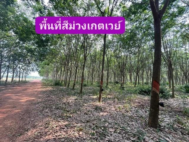 ขายที่ดินพื้นสีม่วงนิตมเกตเวย์ ที่ดินใกล้นิคมเกตุเวย์ ♨️ที่ดินพื้นที่สีม่วง สร้างโรงงานได้ 2