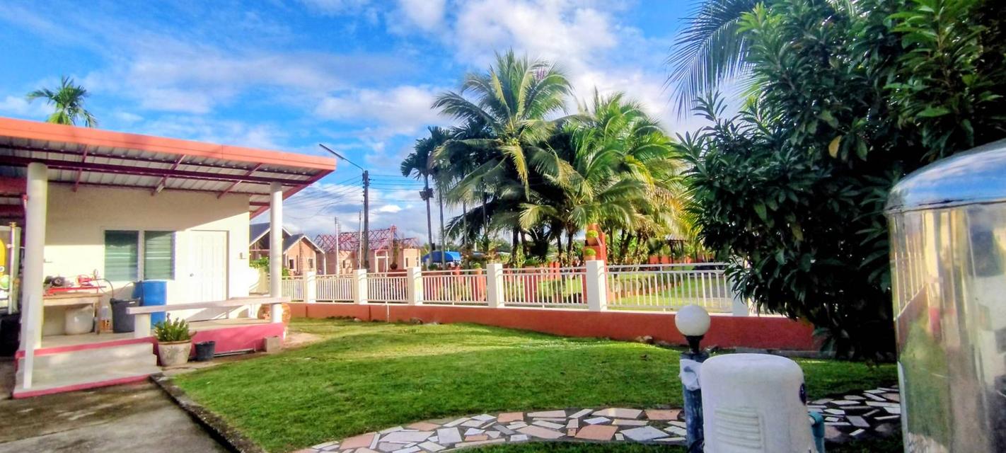 บ้านเดี่ยวพร้อมที่ดิน 2