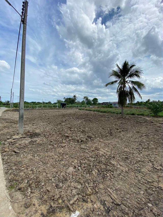 ขายที่ดิน นครชัยศรี ใกล้วัดหลวงพ่อสมหวัง 1