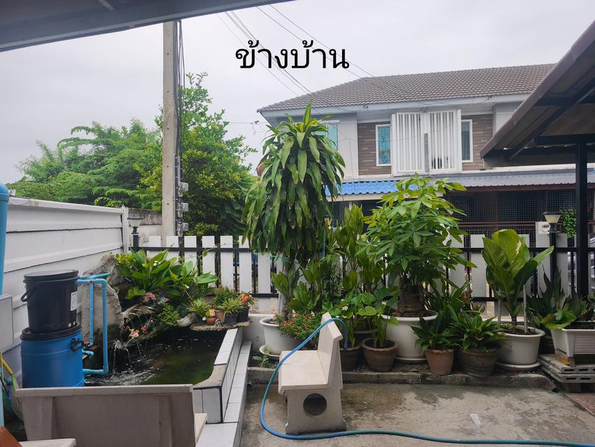 ทาวน์เฮ้าส์2ชั้นหลังมุม(28.3ตารางวา) พฤกษาวิลล์67 ซ.เพชรเกษม91 อ้อมน้อย กระทุ่มแบน สมุทรสาคร 14