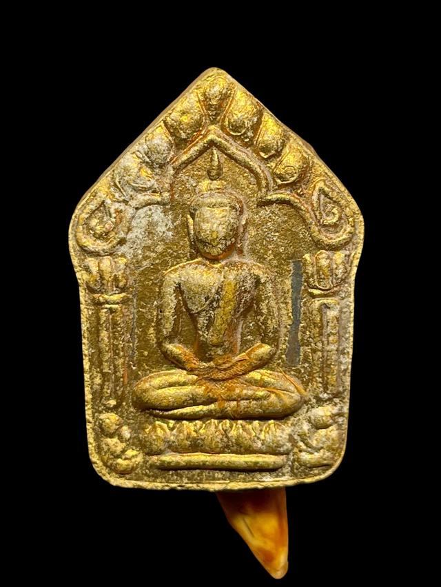 พระขุนแผนผงพรายกุมาร หลวงปู่ทิม วัดละหารไร่ ปี15 บล็อกแรก เนื้อว่านดอกทอง รูปที่ 15