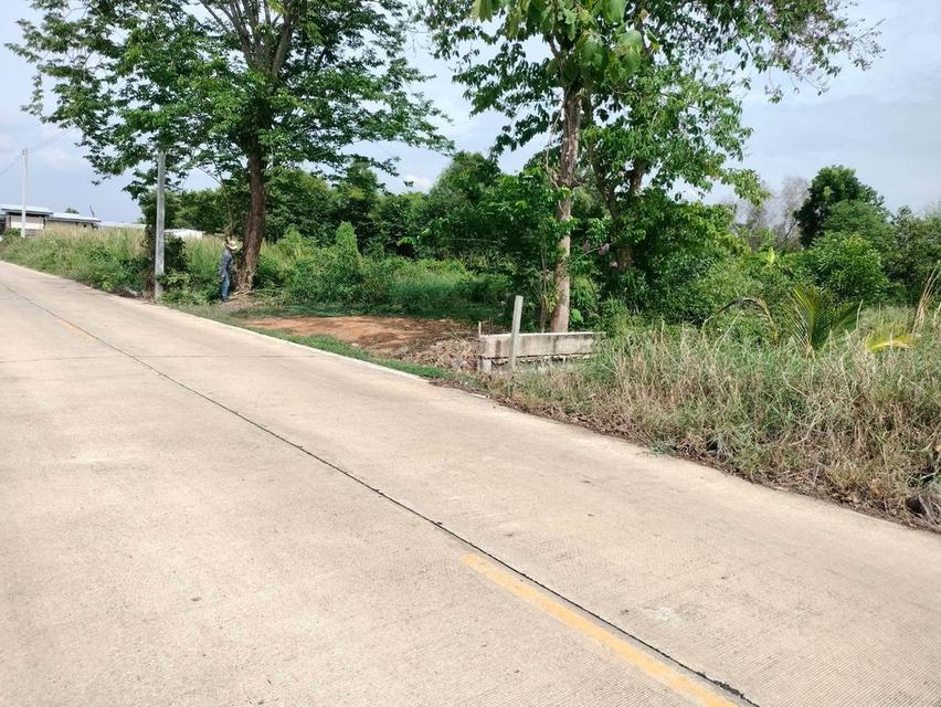 ขายด่วนที่ดินใกล้วัดสโมสร 100 ตรว ติดถนนสาธารณะ ถมแล้ว บึงบอน7 หนองเสือ ปทุมธานี 8