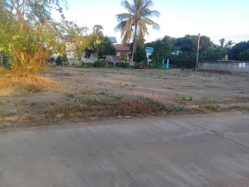 ที่ดิน สุโขทัย