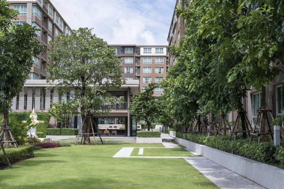 Dcondo campus Phuket 6