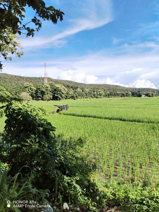 ขายที่ดิน ม.บ้านห้วยทรายขาว อ.พาน จ.เชียงรายห่างจากถนนพหลโยธินประมาณ100 เมตร น้ำไม่ท่วม 3