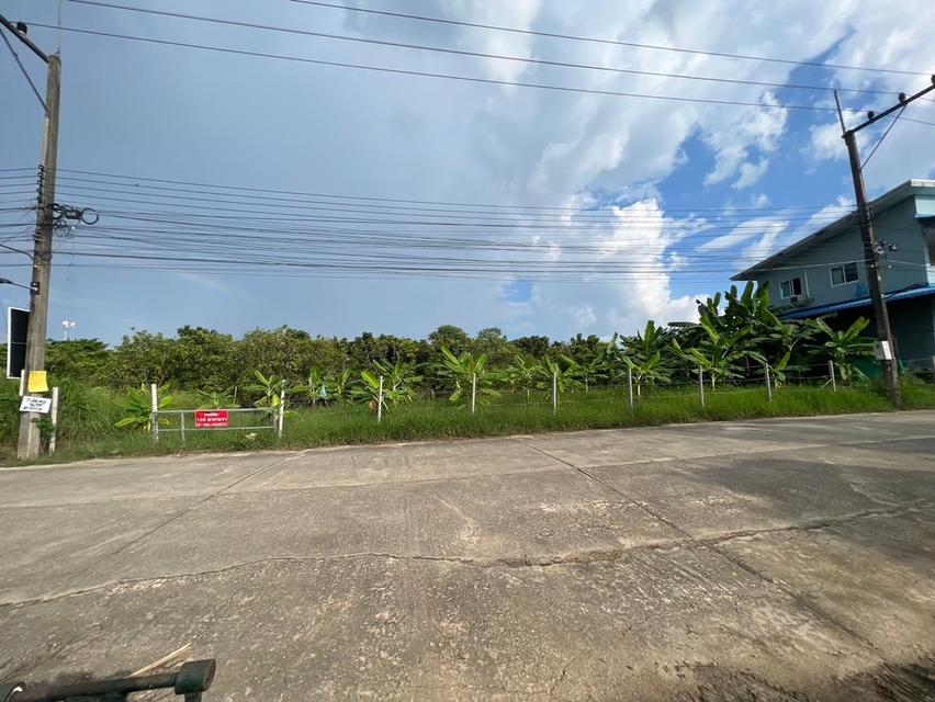 ขายที่ดินเชียงใหม่ 3