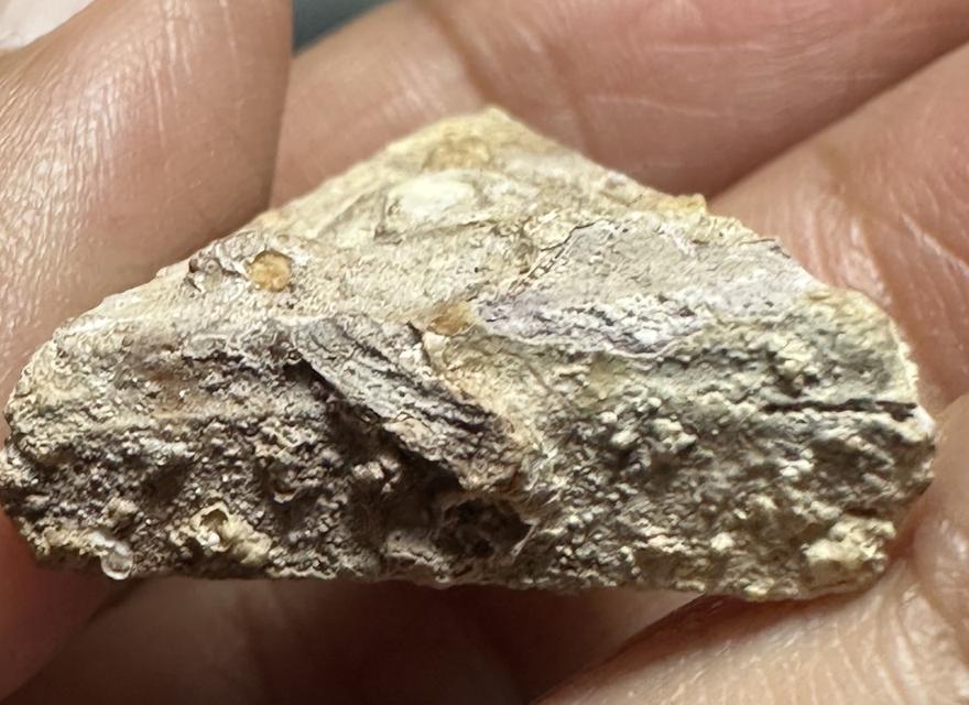 พระผงมีคราบกรุ ฟองเต้าหู้ ไม่ทราบที่ 6