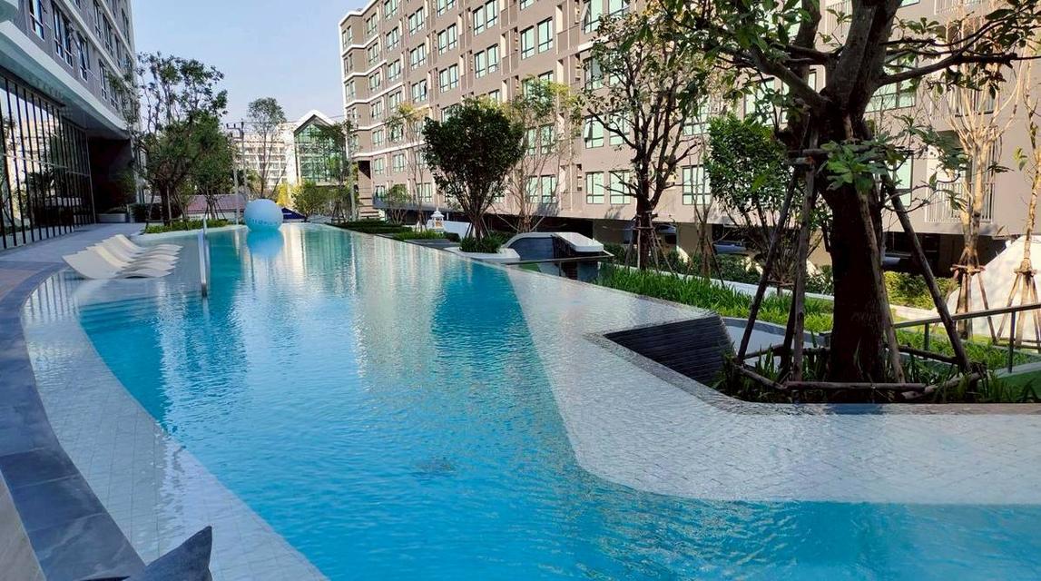 โครงการ : ดิ ออริจิ้น สุขุมวิท 105 | The Origin Sukhumvit 105 9
