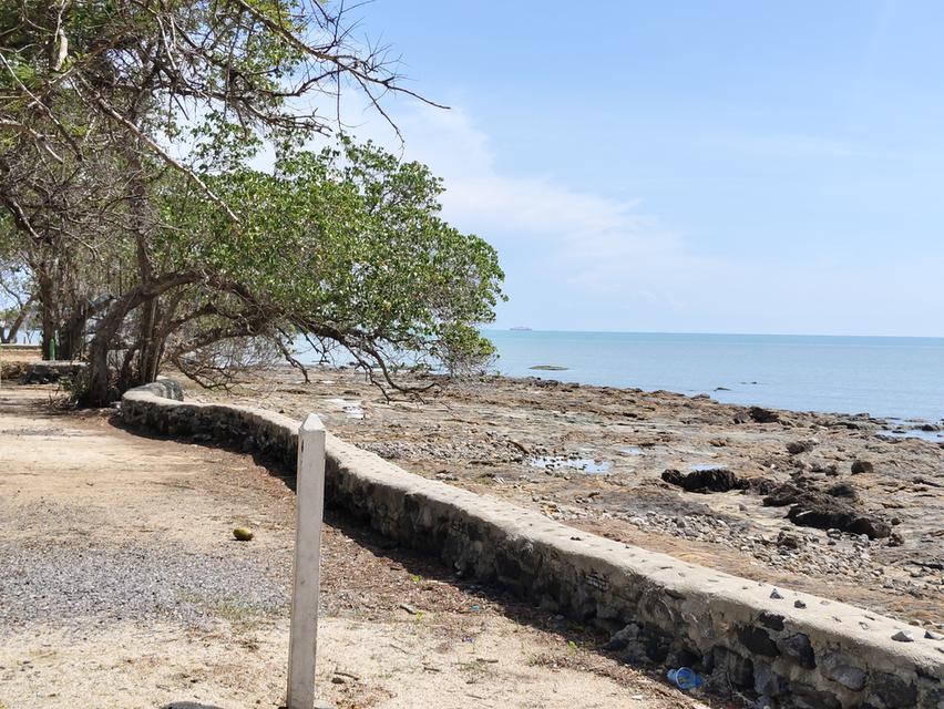 ที่ดินติดทะเลสุราษฎร์ธานี 8