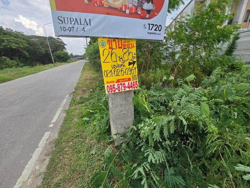 ขายที่ดิน 26 ไร่ 85 ตรว ติดถนนลาดยางสาธารณะ ระแหง ลาดหลุมแก้ว ปทุมธานี 5