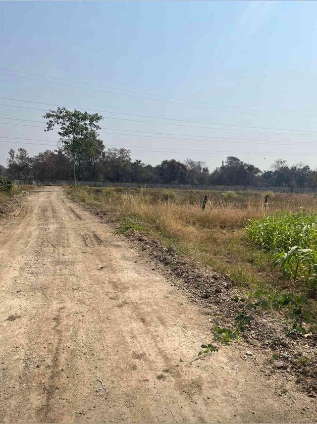 ขายที่ดิน 15 ไร่ ทำเลดี ติดกองบิน 4 ตาคลี เข้า ออกสะดวก น้ำไม่ท่วม