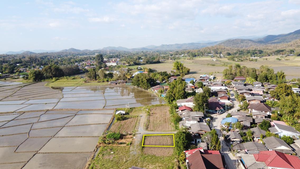 ขายที่ดิน 55 ตร.ว. วิวดอยสวย น้ำไฟดึงได้ไม่ไกล อ.แม่ออน 5