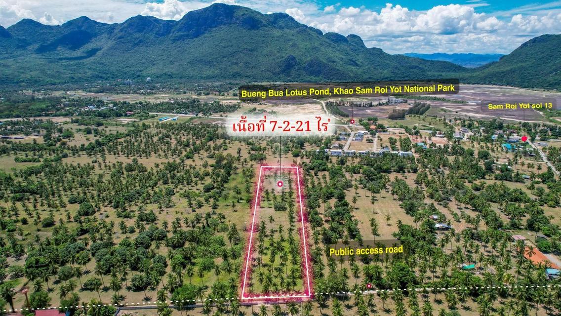ที่ดินขนาด7ไร่ไกล้ทะเล 1