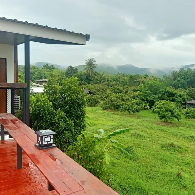 บ้านในสวนว่างให้เช่า 4