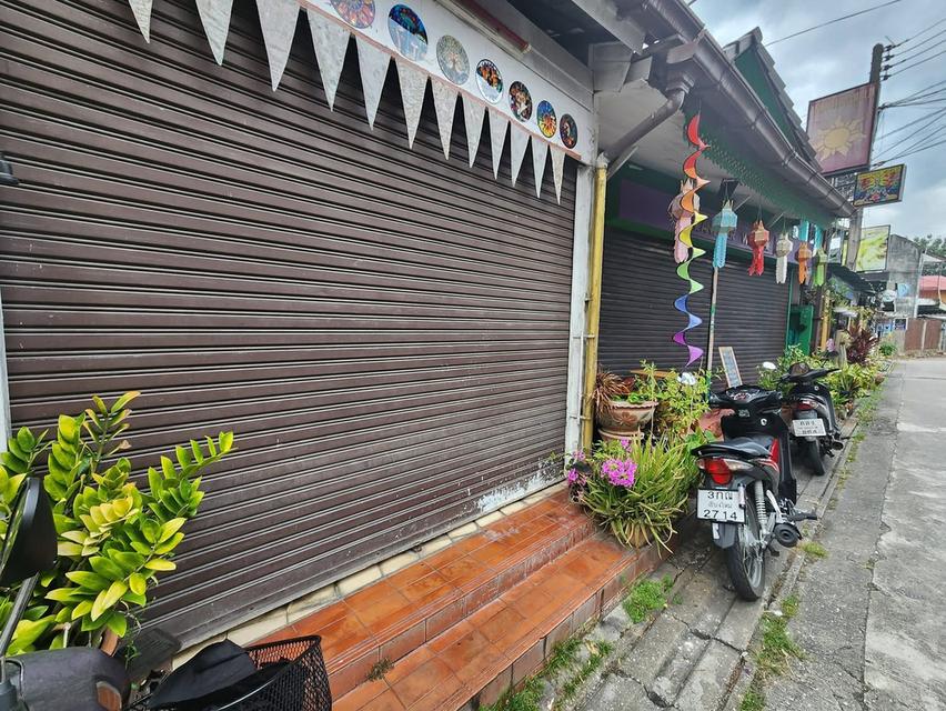 เกสเฮ้าส์ ตึก 3 ชั้น + บ้าน + ร้านอาหาร 14 ห้อง 102 ตรวากลาลงเมืองเชียงใหม่ 6
