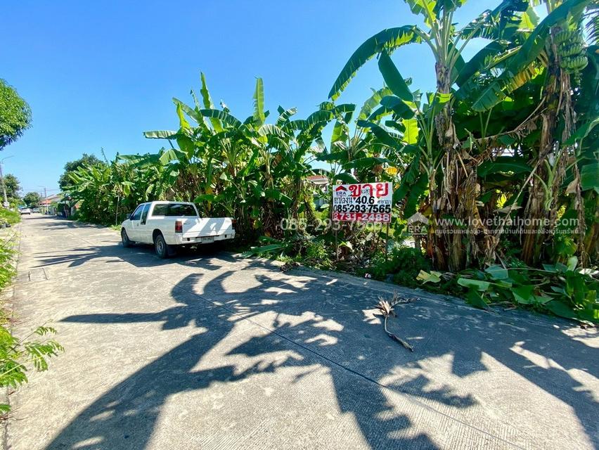ขายที่ดิน ถนนสุขาภิบาล5 ซอย34 สายไหม แปลงสวย พื้นที่ 40.6 ตารางวา เข้าซอยเพียง 300 เมตร ใกล้จุดขึ้น-ลงทางด่วนสุขาภิบาล5 5