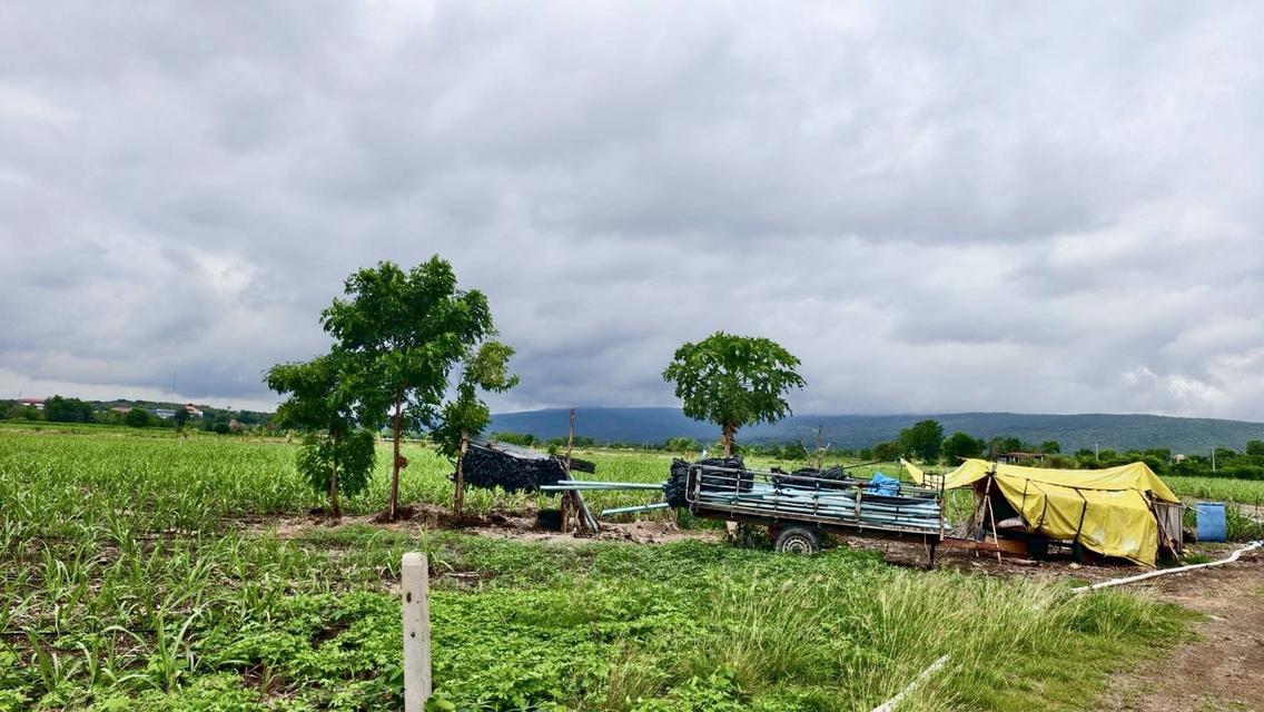 ที่ดิน โคกสำโรง ลพบุรี ขนาด 200 ตร วา 150000 บาท 4