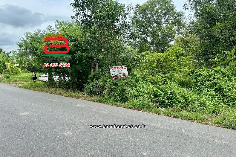 ที่ดินเปล่า ธัญบุรี-คลอง 6 เนื้อที่ 400 ตร.ว (ตรงข้ามศูนย์ฝึกอบรมวิสดอมพาร์ค) ตำบลคลองหก อำเภอคลองหลวง ปทุมธานี 2