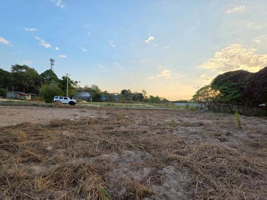 ขายที่ดินเปล่า แปลงสวยติดถนนสองด้าน บางเสร่ ชลบุรี 10