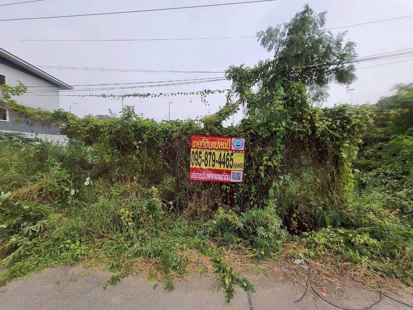 Vายที่ดินใกล้โรบินสันสมาน 172.5 ตารางวา ติดถนนคอนกรีตสาธารณะ ศรีสมาน ซอย 5 อ.ปากเกร็ด จ.นนทบุรี
