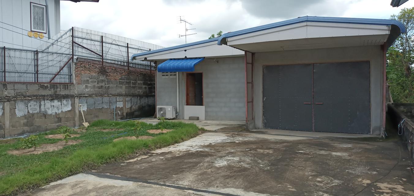 ที่ดิน 49.6 ตรว. แถมบ้าน ซ. แจ้งสนิท 19 ถ. แจ้งสนิท ต. ในเมือง อ. เมือง จ. อุบลราชธานี 1