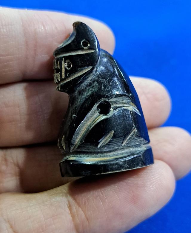 #เสือเขาควาย อุดกริ่ง หลวงพ่อเปิ่น วัดบางพระ นครปฐม