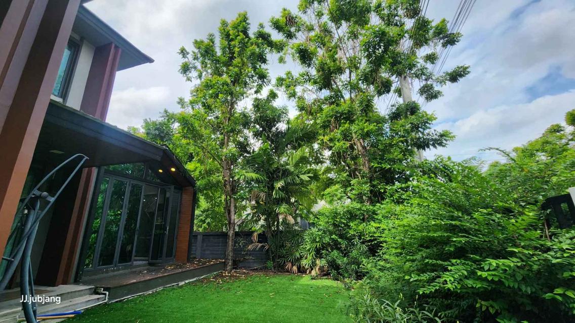 ขายด่วน! บ้านเดี่ยวหลังริม พร้อมบิวท์อินทั้งหลัง หมู่บ้านบุราสิริ พระราม 2 6