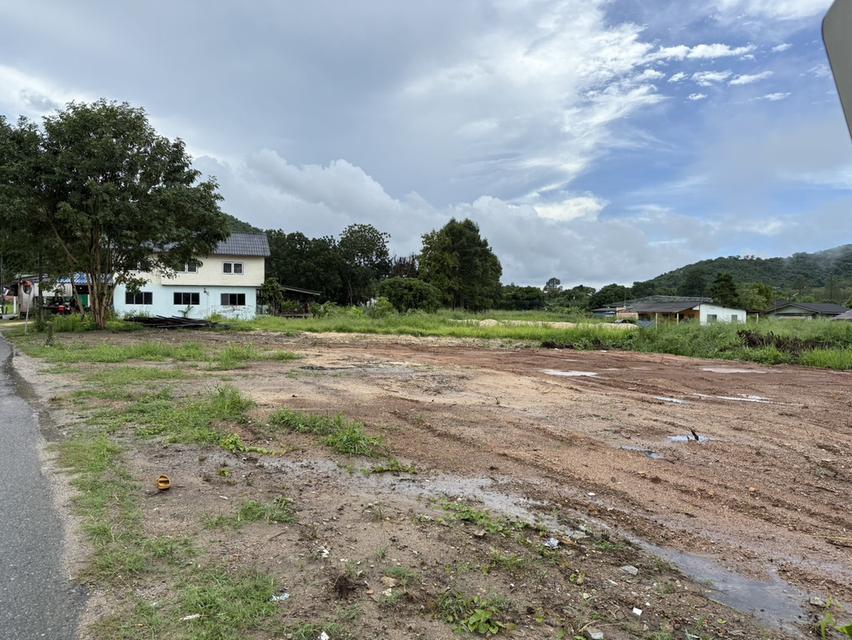 ที่ดิน 5