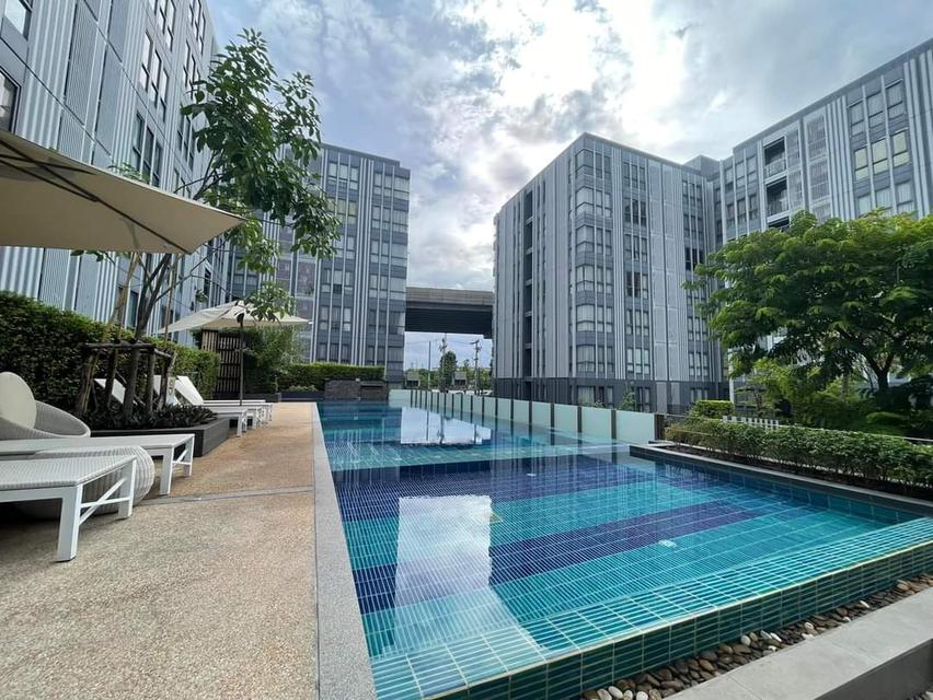 Moniiq condo สุขุมวิท64