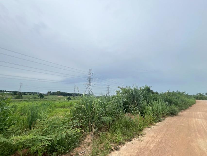 ขายที่ดิน ปลวกแดง ระยอง - ที่ดิน 12 ไร่