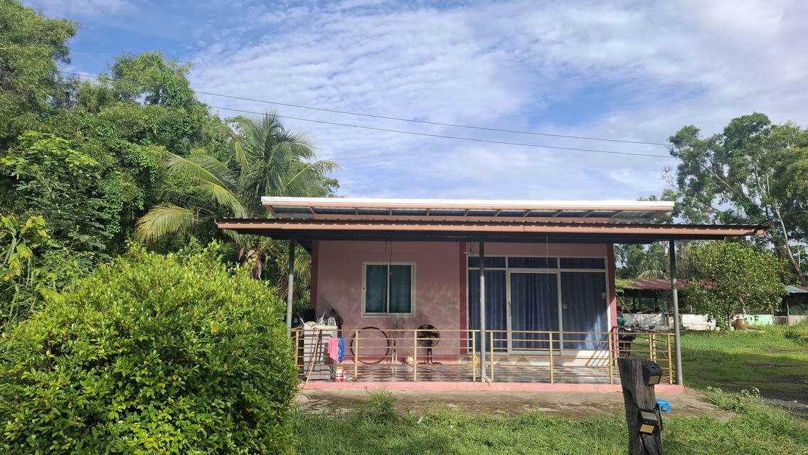 บ้านสวนสองหลังพร้อมที่ดิน2ไร่