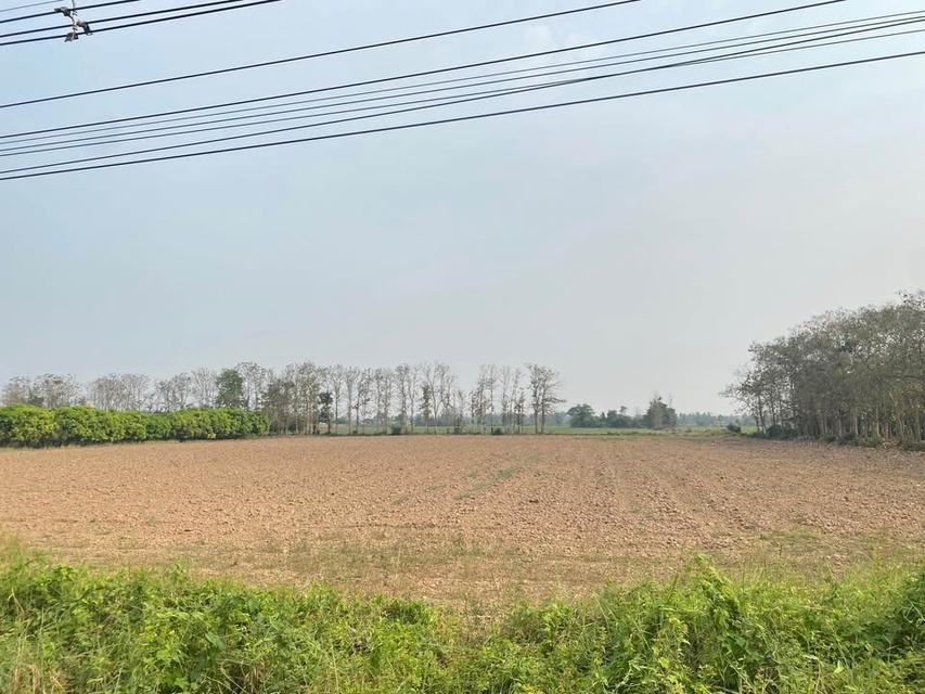 ที่ดิน จังหวัดสุโขทัย ผืนสวย ทำเลดี