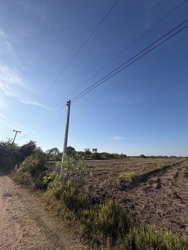 📍ขายที่นา 4ไร่ 3งาน 3.1ตารางวา หน้ากว้าง 40 เมตร 💵ราคา 1,600,000 น้ำไม่เคยท่วม มีไฟฟ้า น้ำปะปา  ติดถนน 8