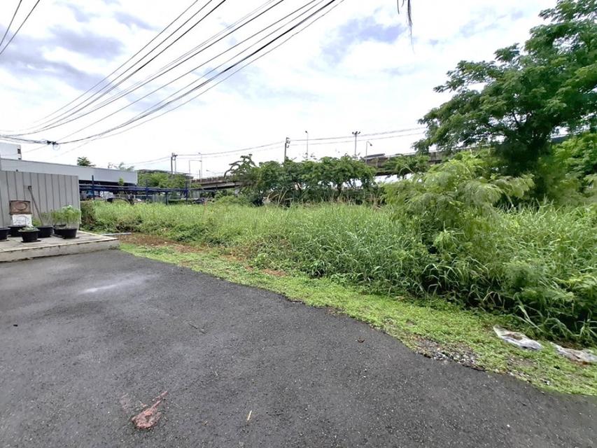 ขาย ที่ดิน ติดถนนเลียบมอเตอร์เวย์ คู่ขนานกรุงเทพ-ชลบุรี กรุงเทพกรีฑา 216 ตรว ติดถนน2ด้าน ซ.มอเตอร์เวย์10 แปลงสี่เหลี่ยมส 6