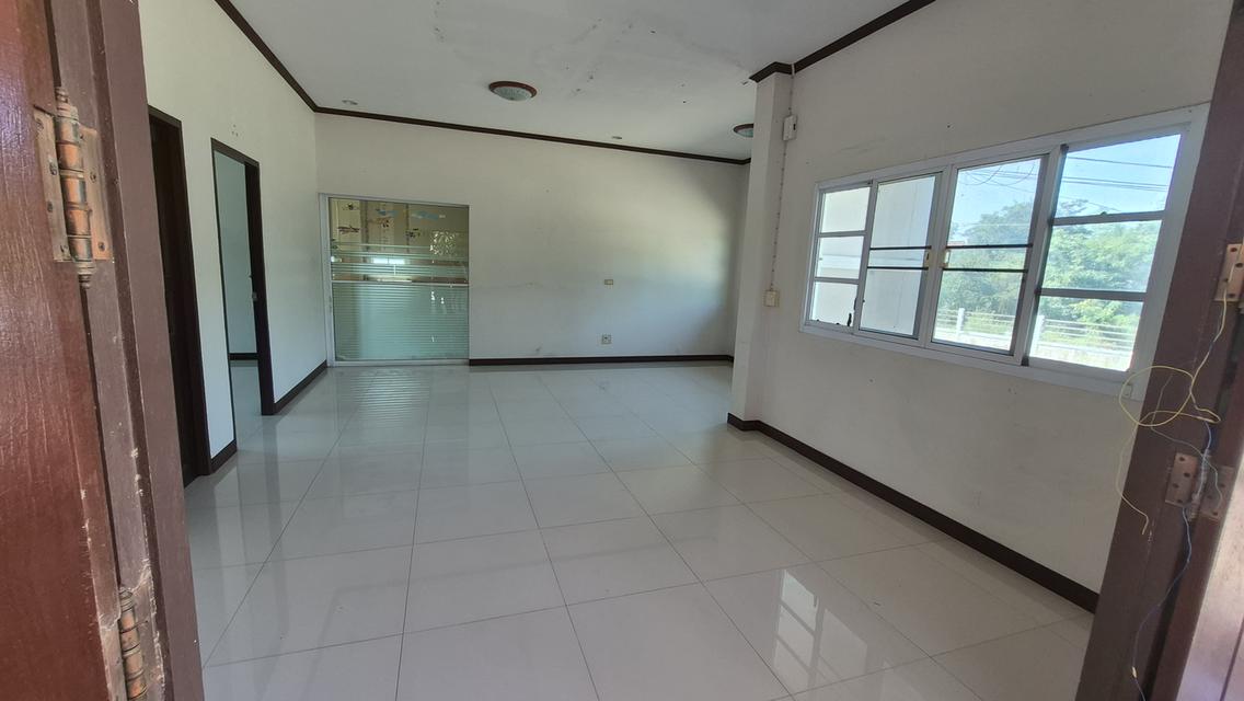 🔥🏡 บ้านพร้อมที่ดินผืนใหญ่ ใกล้ถนนใหญ่ ราคาโคตรคุ้ม! 🏡🔥 💥 เพียง 2.5 ล้าน ได้ทั้งบ้าน + ที่ดินกว่า 2 ไร่! 📣 โอกาสนี้ไม่ได้มีบ่อย! ใครกำลังหาบ้านพื 12