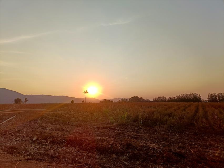 ที่ดินบนเนินเขาวิว 360 องศาตำบลหมูสี 6