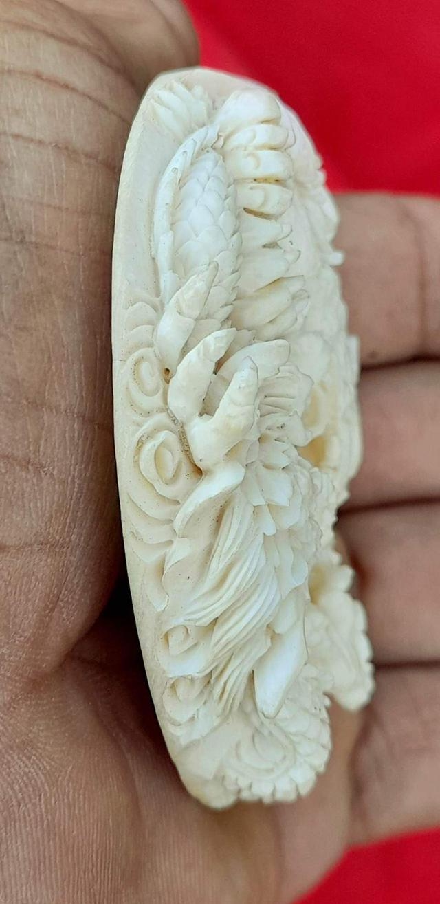 งาแกะรูปมังกร งาแกะรูปเสือ ในวงเดียวกัน งาแกะชิ้นใหญ่ สำหรับนำไปทำหัวเข็มขัด 3