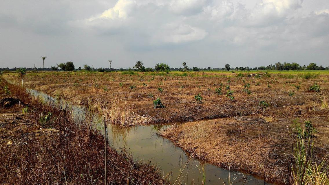 ที่ดิน ใกล้ วัดเจดีย์หอย 7