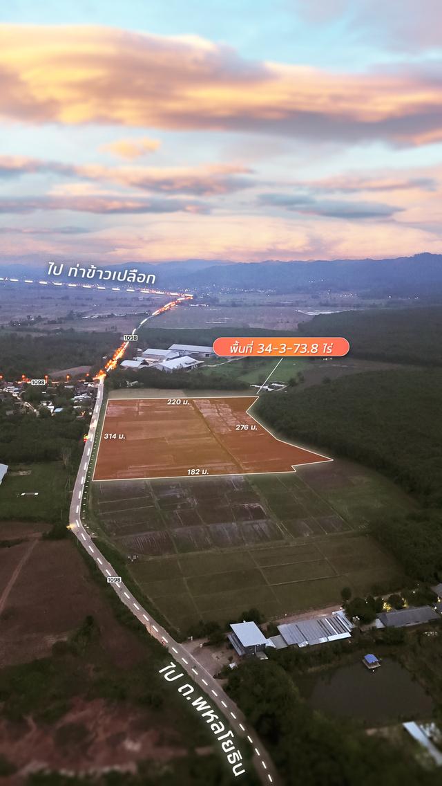 ที่นาผืนใหญ่ 34 ไร่เศษ อ.แม่จัน จ.เชียงราย ใกล้ไร่ชาฉุยฟง ทำเลดี วิวสวย เหมาะแก่การลงทุน 9