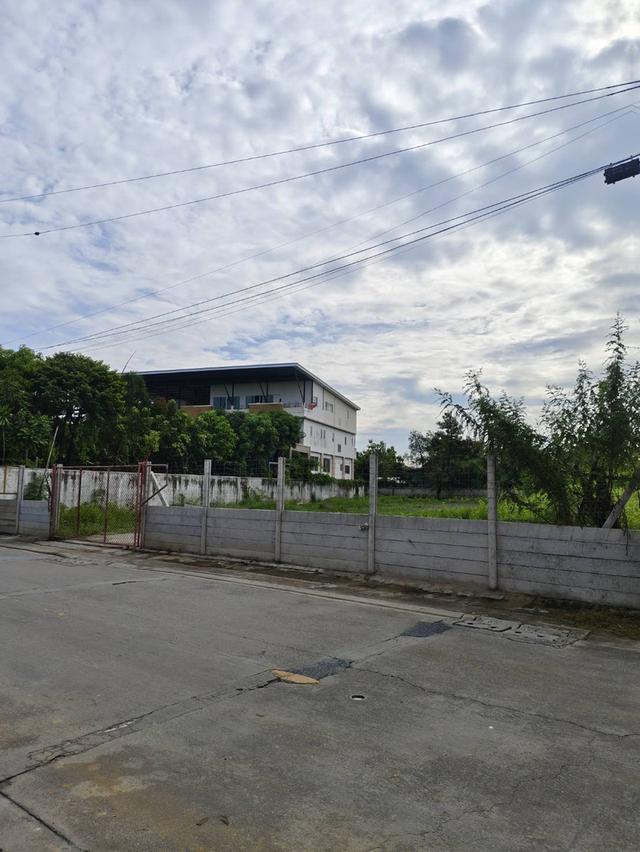 ให้เช่าที่ดิน - พระราม 2 ซอย 25 (เนื้อที่ 3 งาน 28 ตารางวา) 5