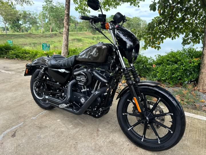 Harley Davidson Iron ปล่อยขายถูก