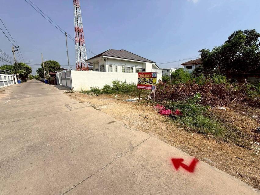 ขายด่วนที่ดินคลองสอง 50 ตรว ติดถนนคอนกรีตสาธารณะ ซ.บงกช 43 คลองหลวง ปทุมธานี รูปที่ 6