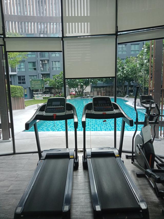 ให้เช่า Condo Living Nest Rahmkhamheang 6