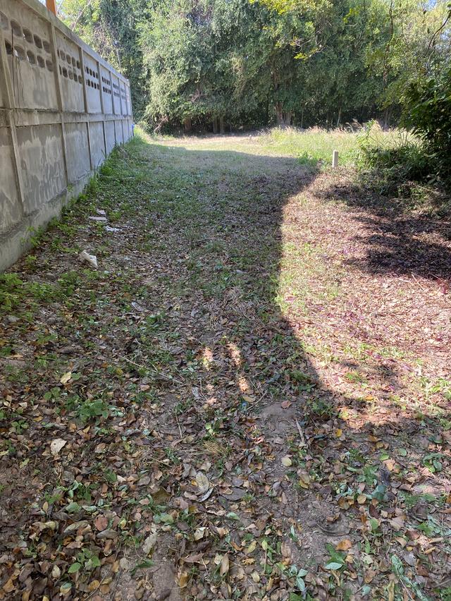 ที่ดินเปล่าอยู่หลังโรงเรียนมหาวิชานุกูล 2 แปลงแปลงละ 100 ตรว ใกล้ศาลากลาง โรงเรียน สถานที่ราชการ สถานี บขส สนามกีฬาจังหวัด สถานีรถไฟ 5