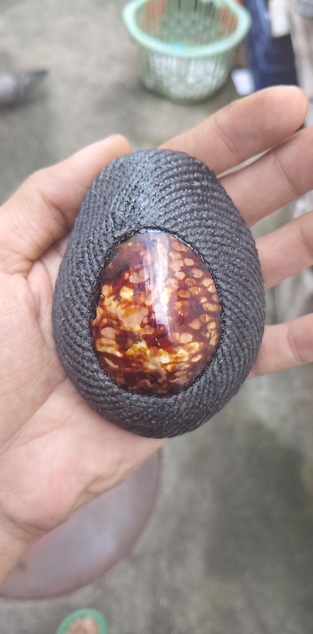 เบี้ยแก้หลวงปู่รอดวัดนายโรง ของแท้แน่นอน