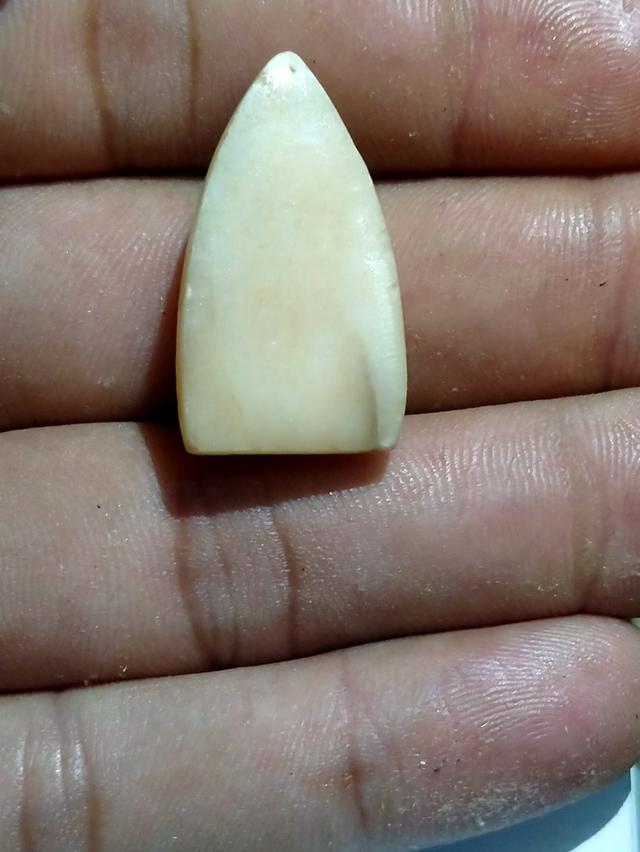 เหรียญหลวงปู่ทวดรุ่นคชสารหมื่นปี 2